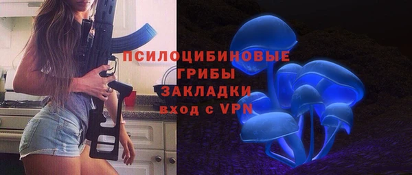 крисы Зерноград