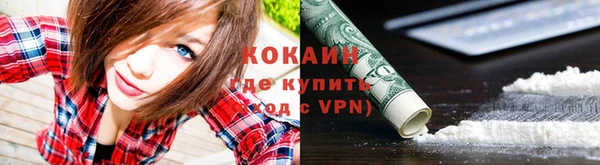 сатива Зеленокумск
