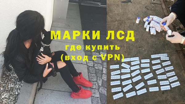 сатива Зеленокумск