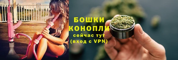 сатива Зеленокумск