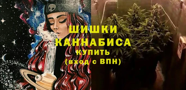 СК Зеленодольск