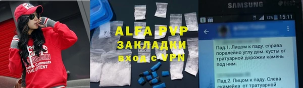 сатива Зеленокумск