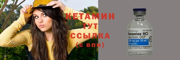 крисы Зерноград