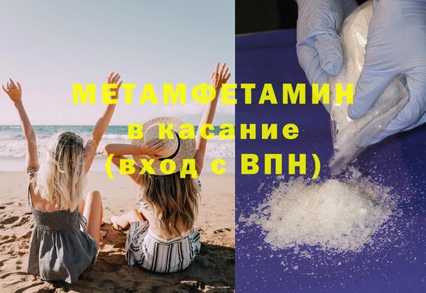 сатива Зеленокумск