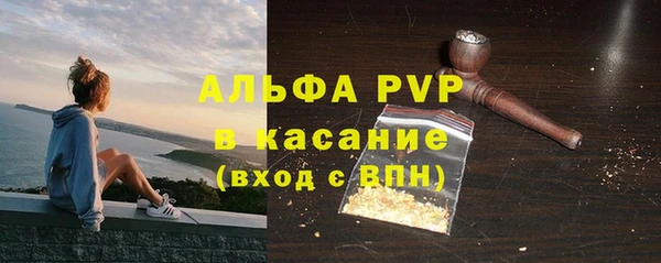 крисы Зерноград